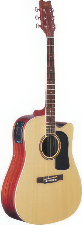 Washburn D10SCE Acoustic Electric Guitar @TopGuitars.info