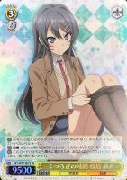 ヴァイスシュヴァル クリスマスプレゼント 豊浜 のどかsp カードリスト