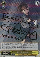 超貴重新品未開封品】ヴァイスシュヴァルツ ロボティクスノーツ 1box