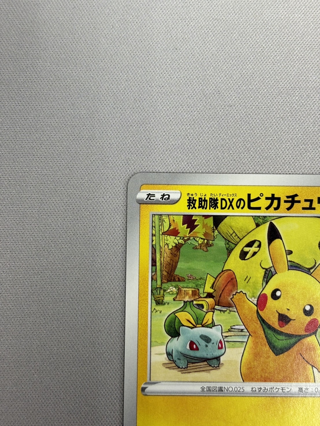 救助隊DXのピカチュウ 希少プロモ 救助隊DXのピカチュウ 希少プロモ 救助隊