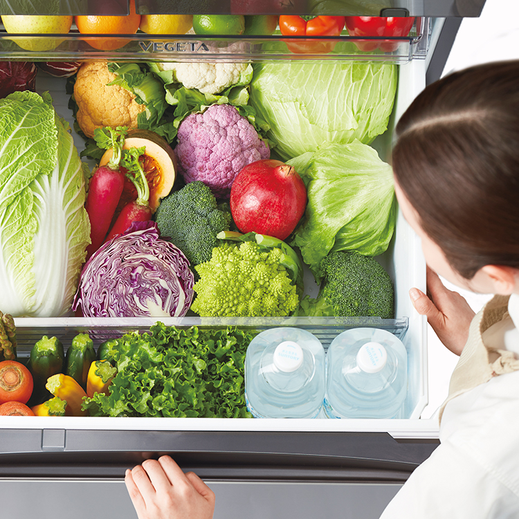 GR-T510FZ | 冷蔵庫 | 東芝ライフスタイル株式会社