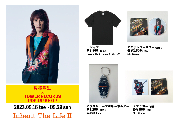 角松敏生コンサートパンフレット/写真集flowセット・シティポップ 角松