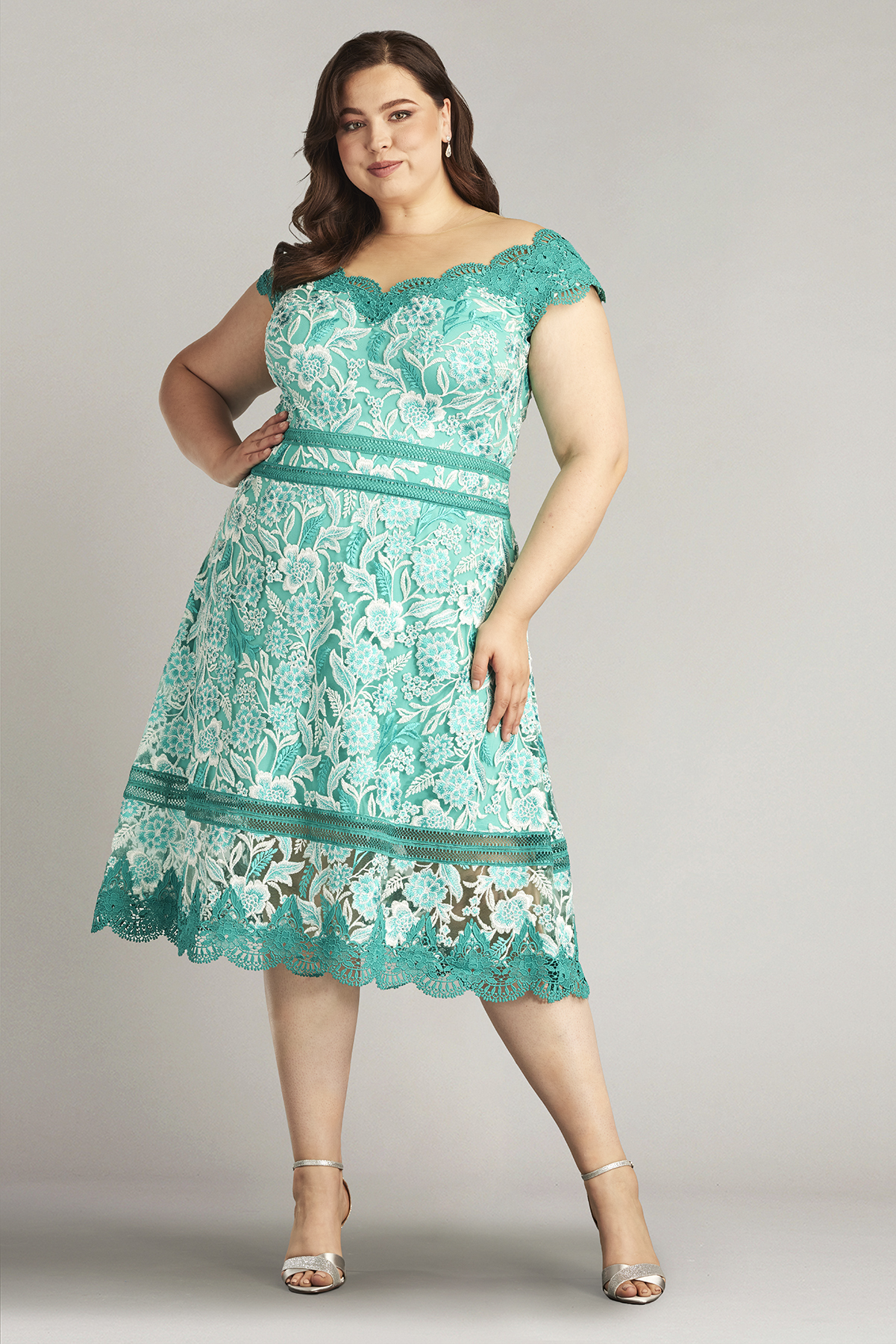 Nance Double Banded Scalloped Lace Dress - PLUS SIZE | Tadashi Shoji