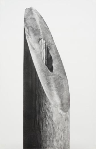 めめめのくらげ (Jellyfish eyes) - MAX & Shimon in the strange