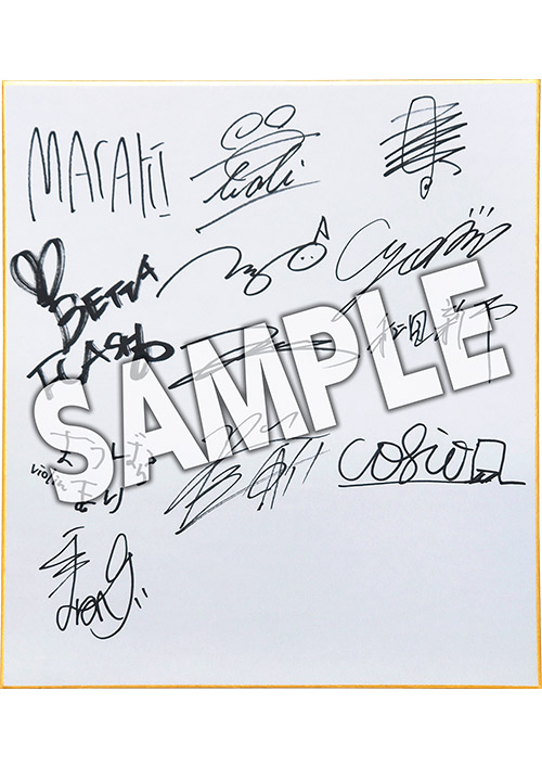 レイズ アーケード クロノロジー』特装版早期購入特典を初公開！応募者