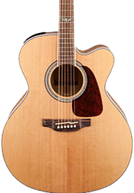 Takamine Guitars :: G-Series By Series