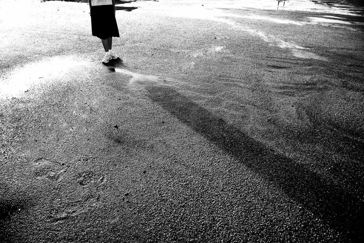 永瀬正敏写真展《bloom》 | 高浜市やきものの里 かわら美術館・図書館