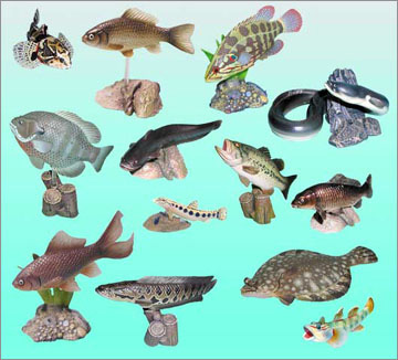 原色淡水魚図鑑II｜商品情報｜タカラトミーアーツ