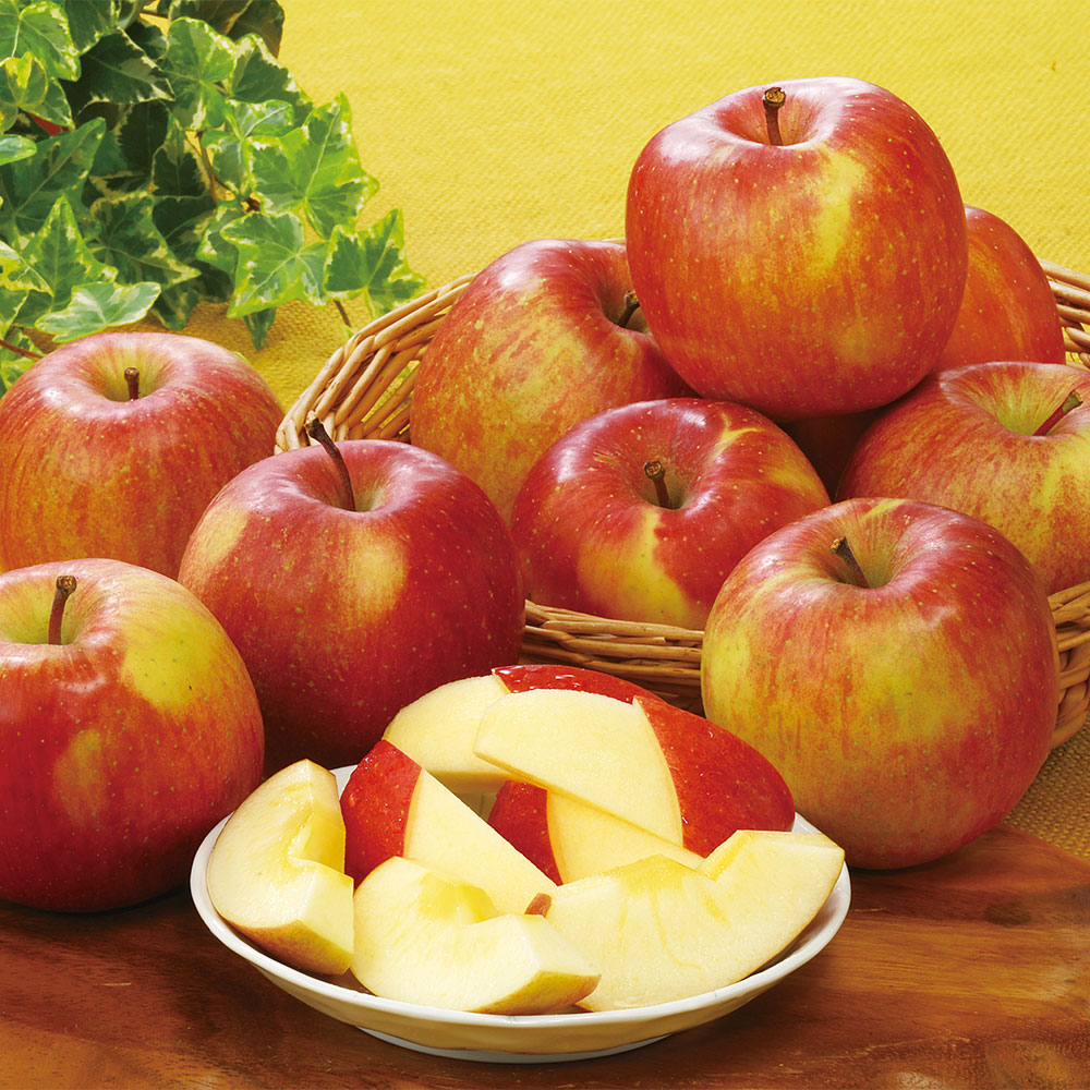 ◇青森県産 葉とらずサンふじりんご | 商品詳細 | 高島屋オンラインストア