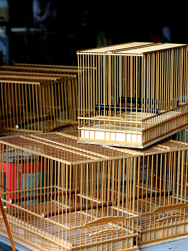 鳥籠の思い出 - 竹虎四代目がゆく！