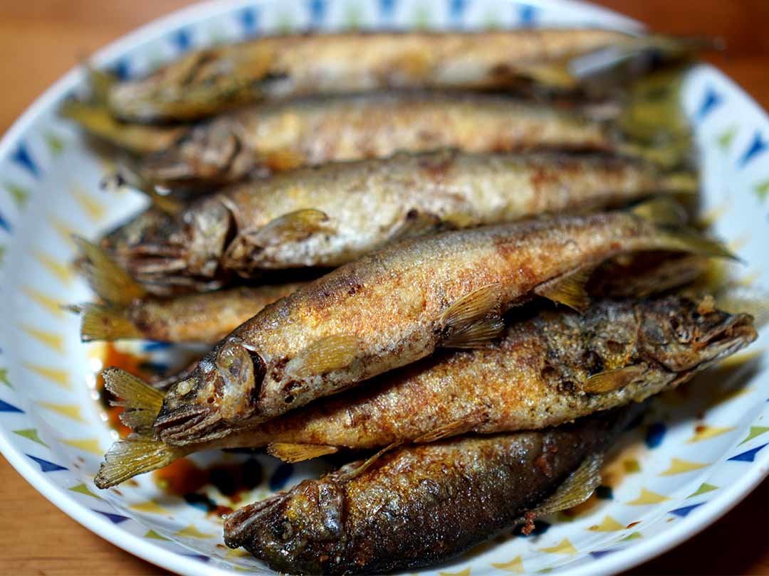 続・高津川の鮎魚籠 - 竹虎四代目がゆく！