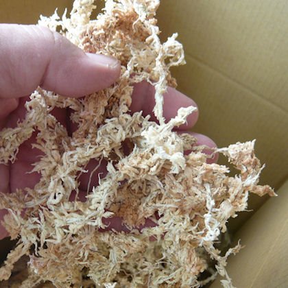 値下げ][品薄]ニュージーランド産ミズゴケAAA級【150g（12L