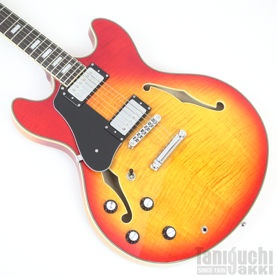 Sire H7 Left Hand (Cherry Sunburst) ※SOLD OUT - 谷口楽器