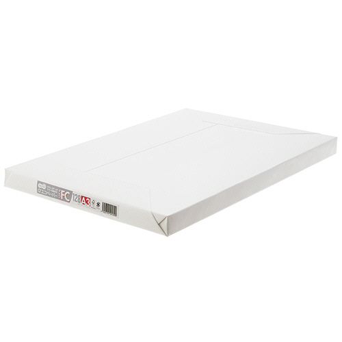 たのめーる】TANOSEE αエコペーパー タイプFC A3 厚口 105g 1冊(250枚