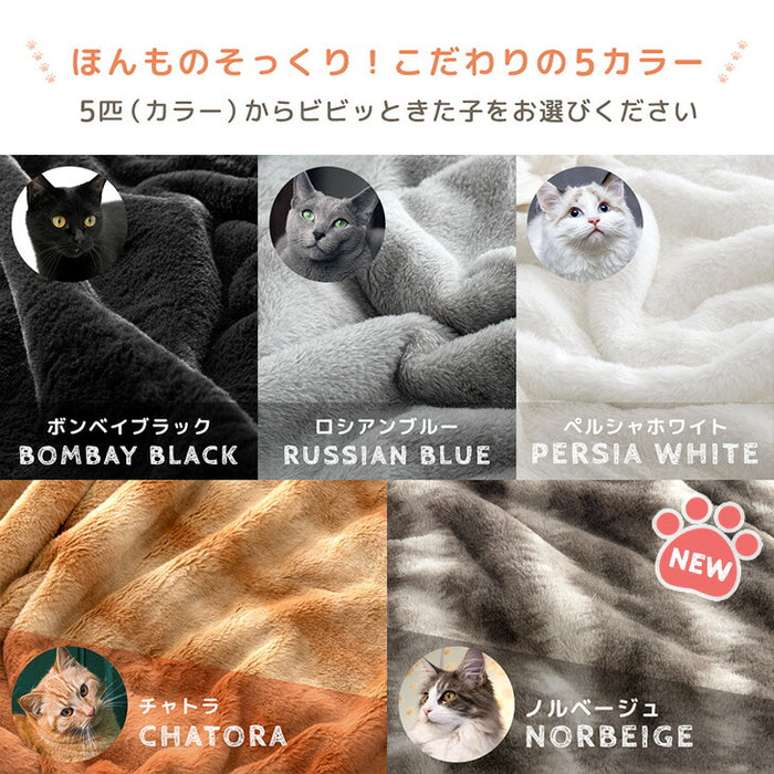 ≪TVで紹介≫もはや、ねこ。枕カバー 洗える ファスナー付 43×63 吸湿