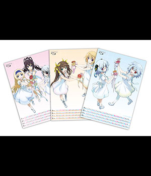 店舗特典情報｜TBSテレビ：IS＜インフィニット・ストラトス＞2公式