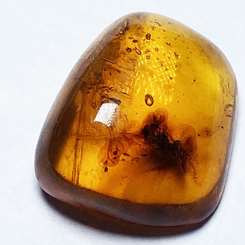 虫入り琥珀アンバーInsects in Amberリトアニア産Balttic Sea