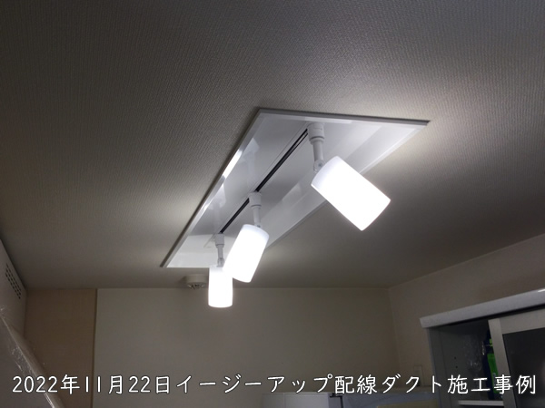 DAIKO社2021年温白色角度調整機能スポットライトレールランプ2個セット