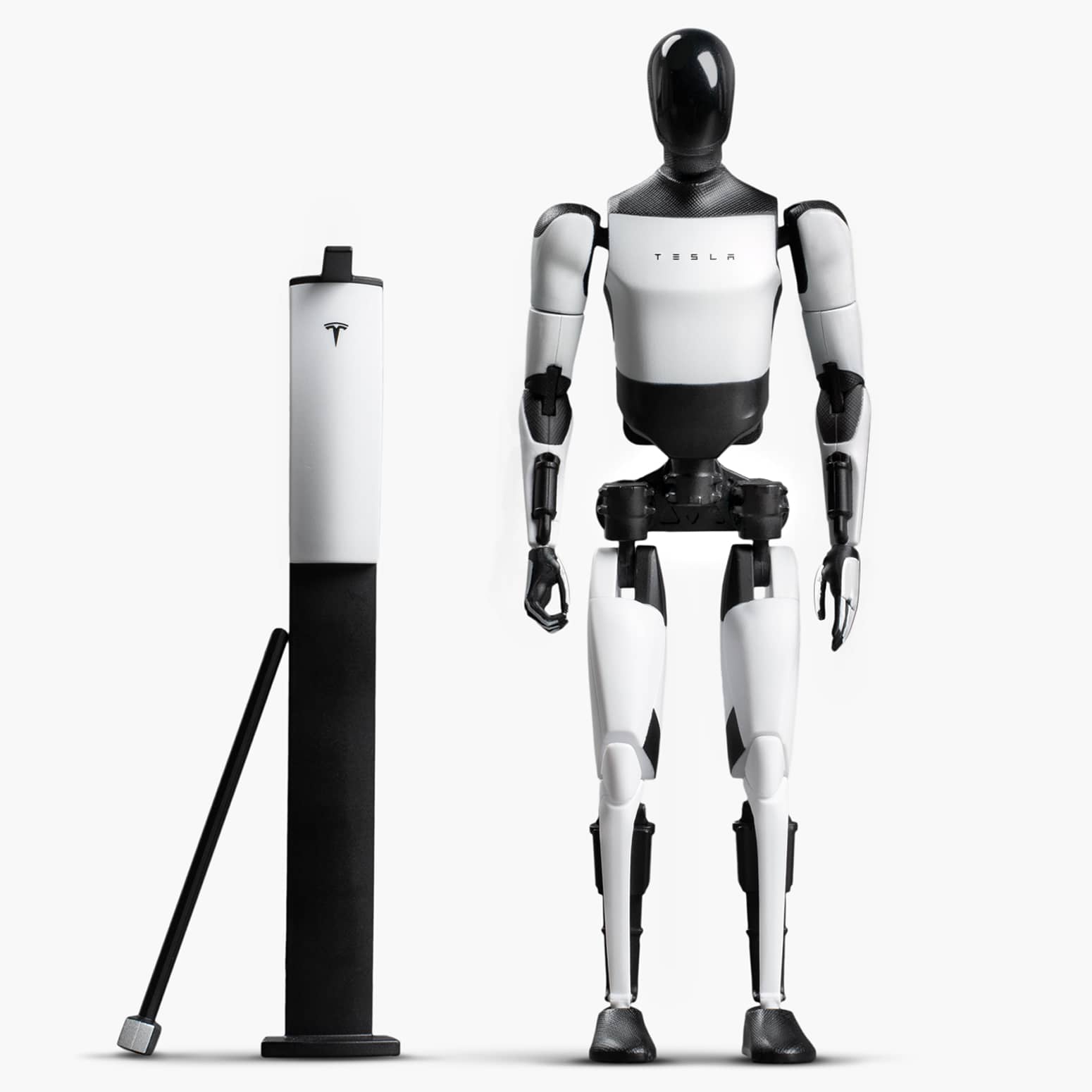 Tesla Bot Action Figure | The Green Head