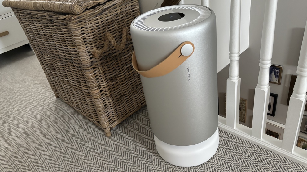 Molekule Air Pro review - The Ambient