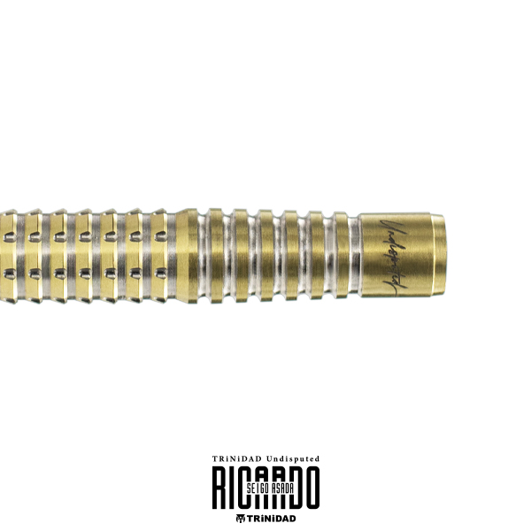 ダーツ バレル TRiNiDAD Undisputed RICARDO 浅田斉吾 選手モデル