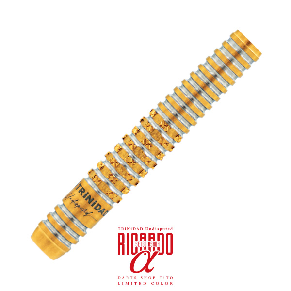 中古リカルドα スティール美品 中古リカルドα スティール美品