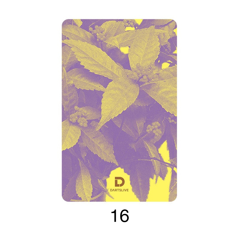 ダーツ DARTSLIVE CARD ライブカード ダーツライブカード 56-4