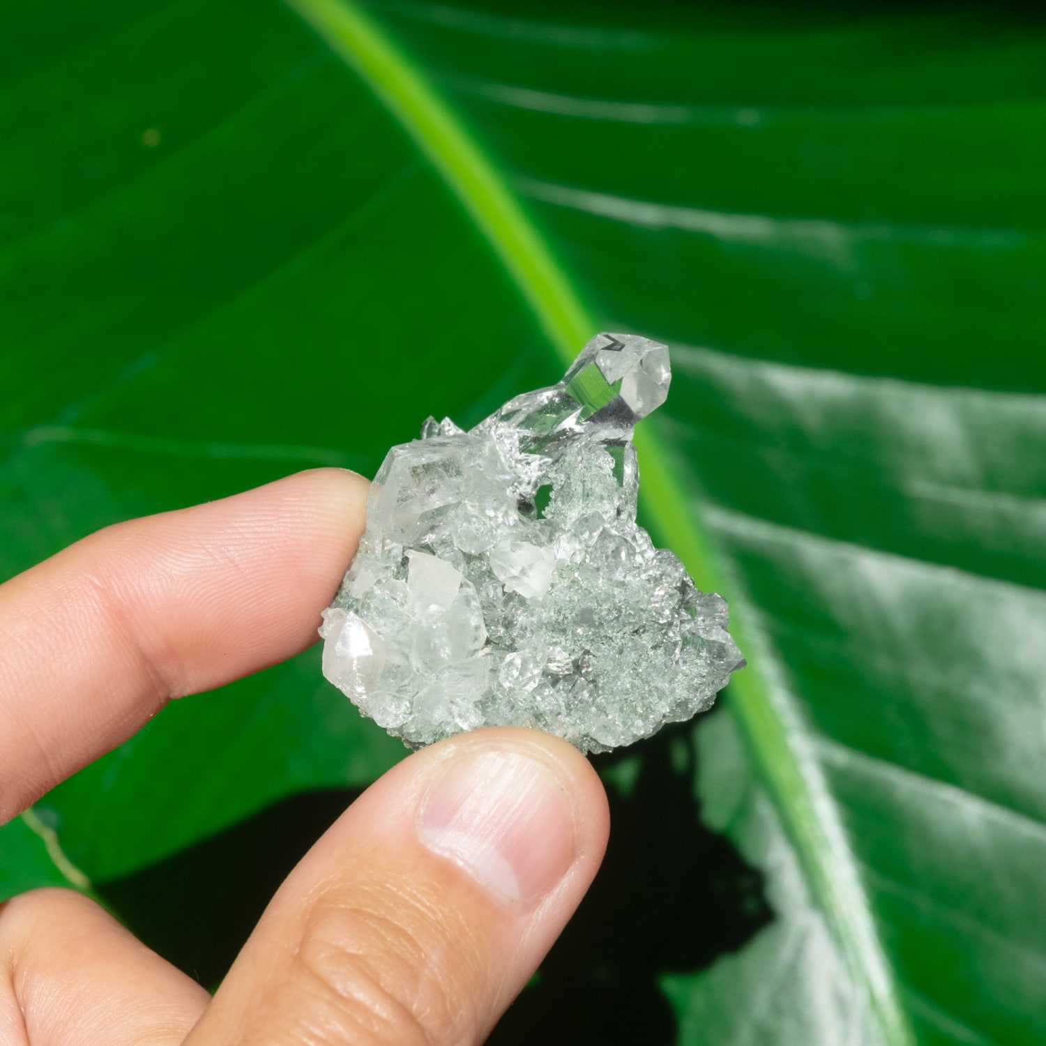 一点物】 ヒマラヤ水晶原石 【18.5g】クラスター・透明・バーコード