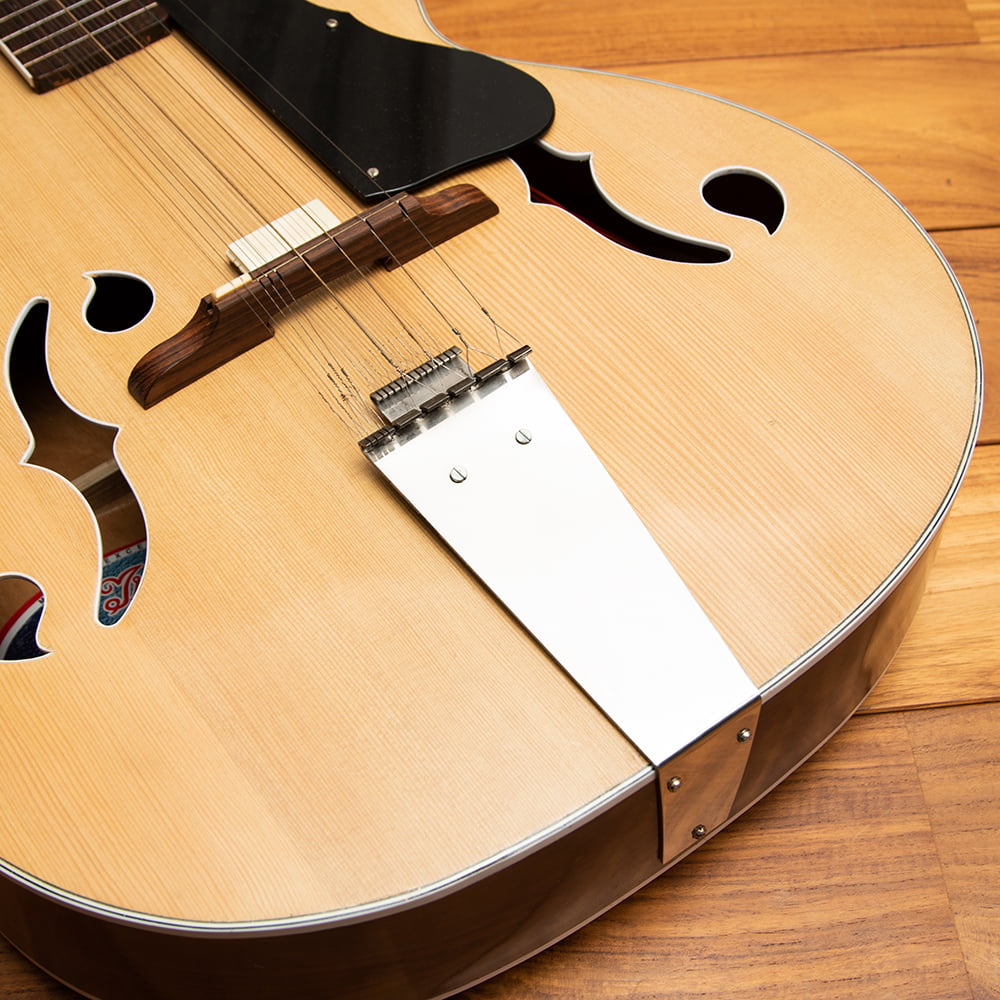 インド楽器 モハーンヴィーナ Mohan Veena アコースティックギター