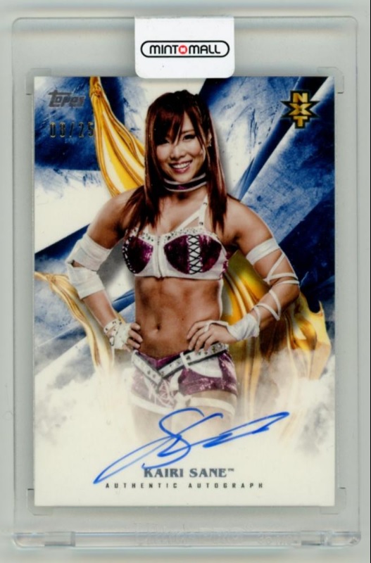 宝城カイリスターダムカード WWE kairi カブキウォリアーズ