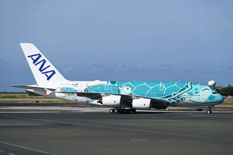 ハぁ～いサイ ANA エアバス A380 フライングホヌ 2号機カイ ⭐️ANA
