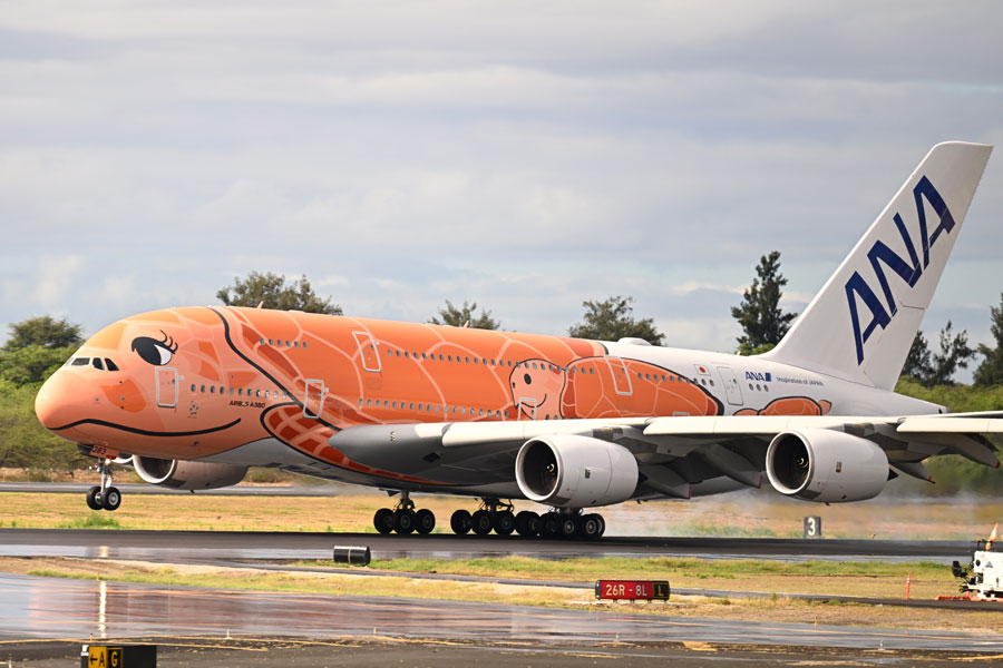 木*日様 ANA A380-800 フライングホヌ ラー JA383A 1/16 ANAの「フライング