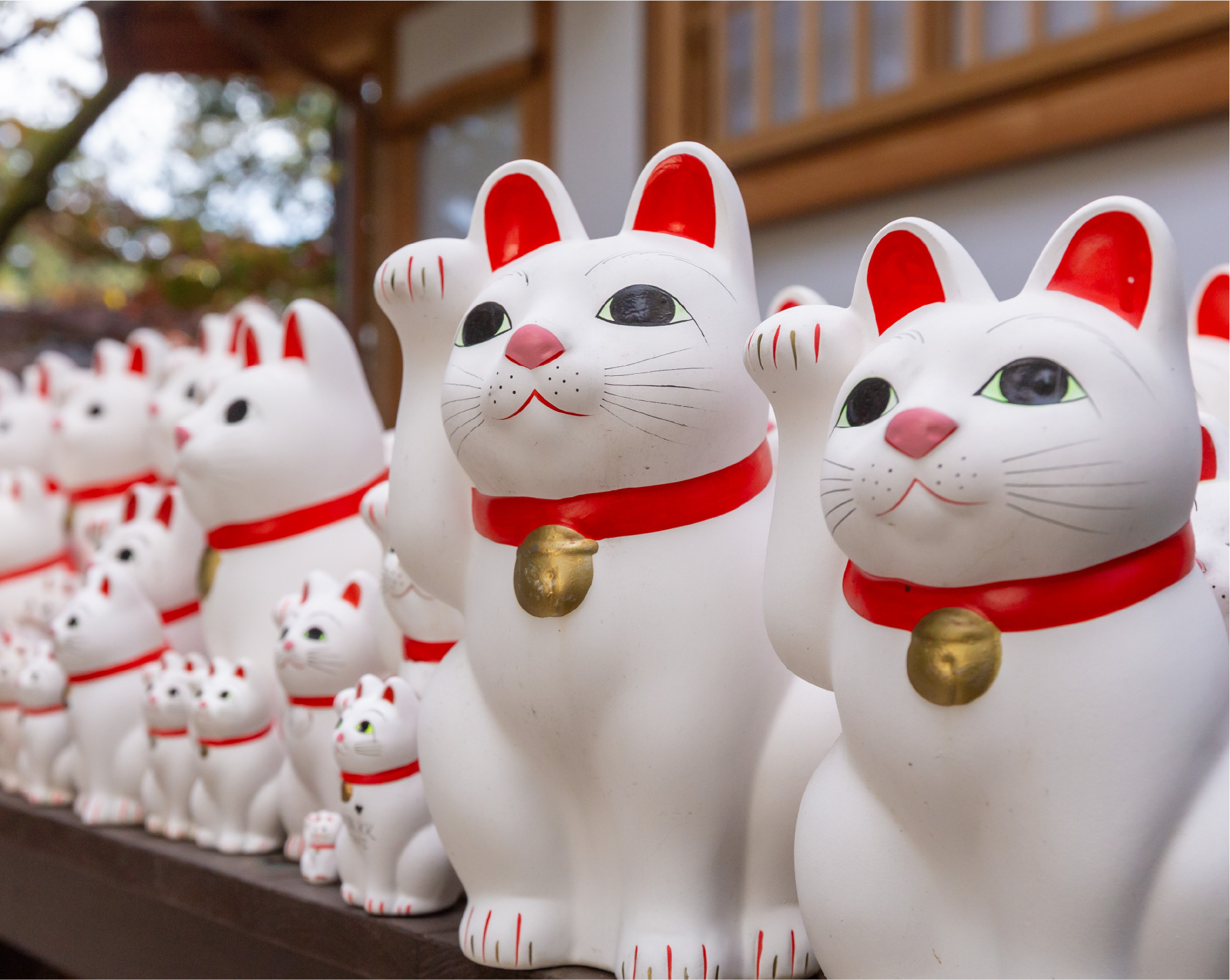 江戸時代後期 神秘的な瞳でとても雰囲気のあるお金や良き人を招く