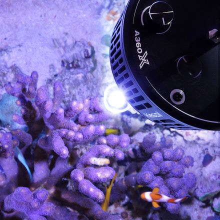 Nano Wavebox - Tunze