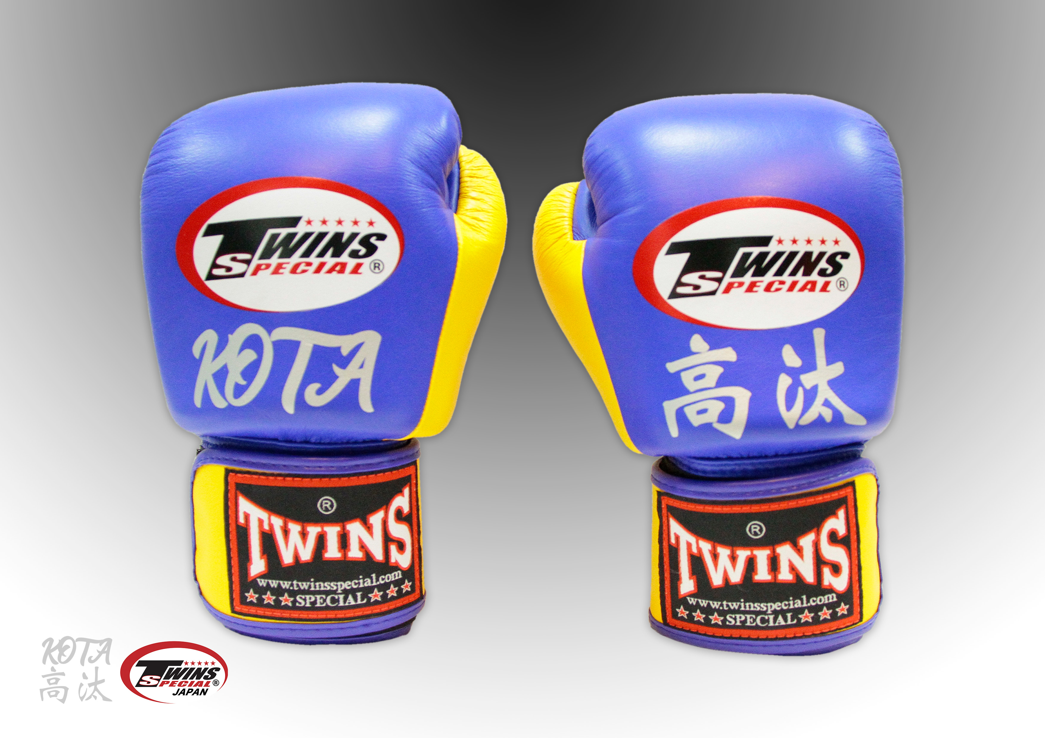 制作実績2【TWINS JAPAN】