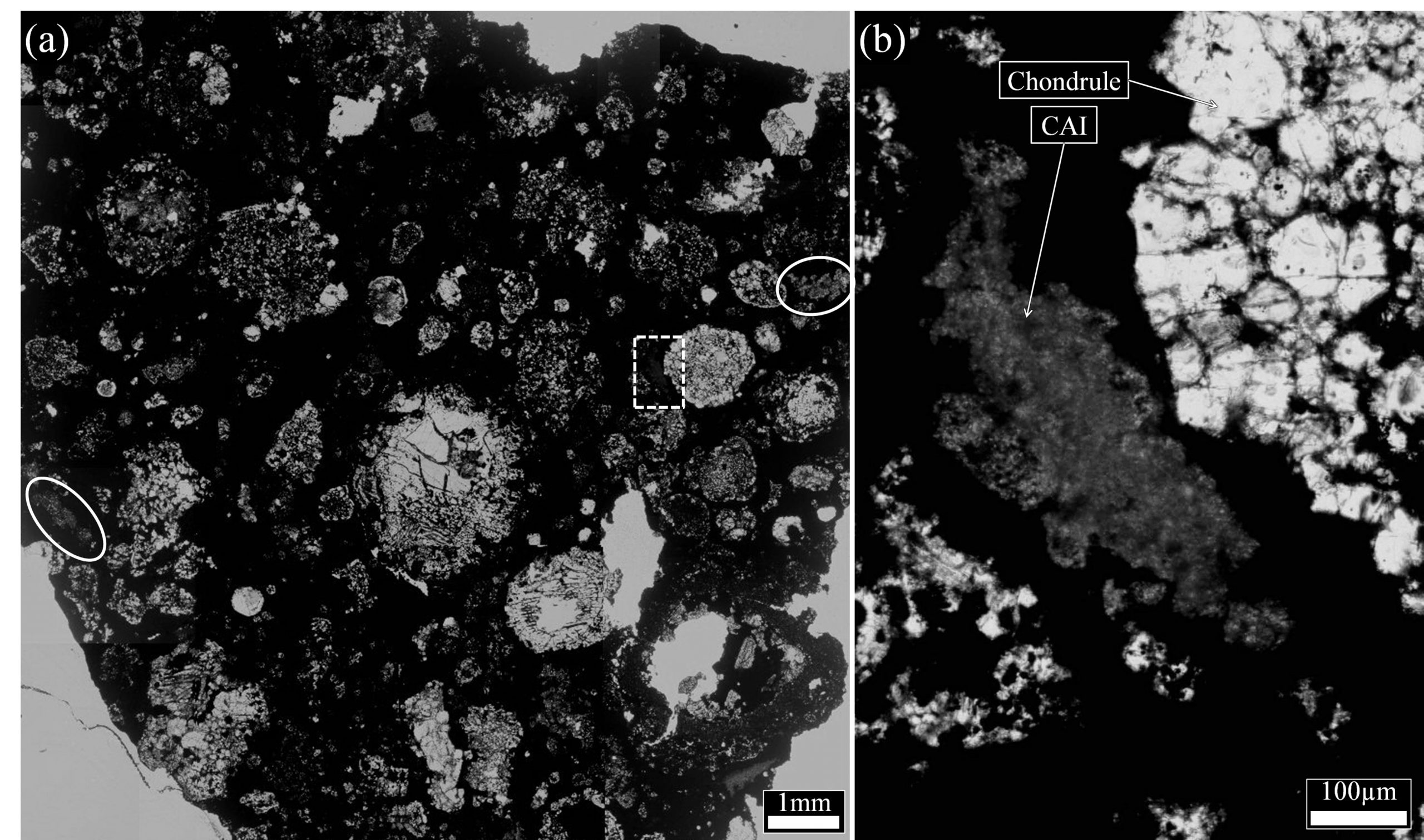 小惑星リュウグウの石から太陽系最初期にできた可能性のある物質を発見