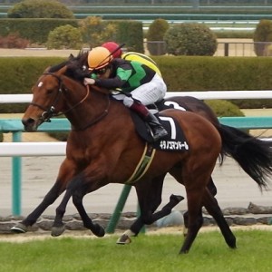 キタノコマンドール 全出走レース 現地 応援馬券