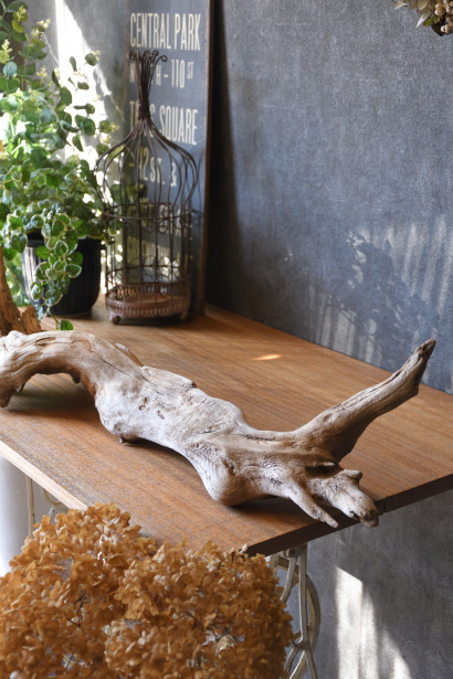 環境にやさしい流木素材 店舗ディスプレイやガーデニングデザインなど