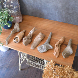 流木のかけらセット