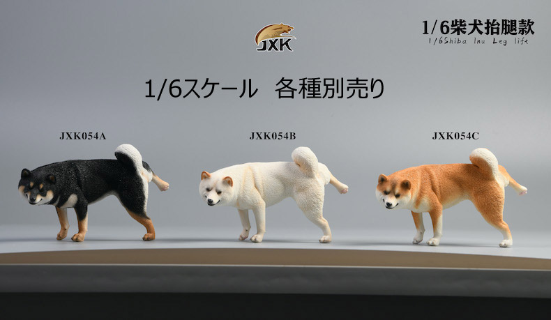 JxK.Studio】JXK054ABC shiba inu Leg Lift 1/6スケール 柴犬 イヌ