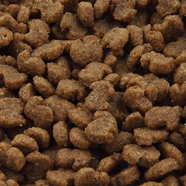 ユーカヌバ スモール アダルト 7.5kg / 送料無料 | 通販