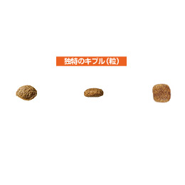 ロイヤルカナン ミニチュアシュナウザー 成犬・高齢犬用 7.5kg / 送料