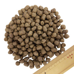 国産ドッグフード ZEN プレミアムドッグ グレインフリー フィッシュ