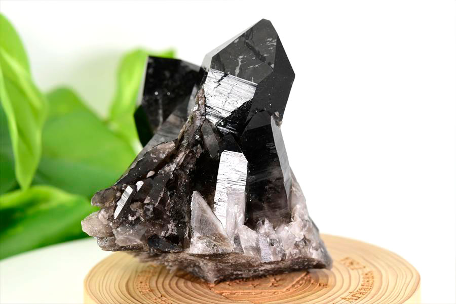 アーカンソー産 黒水晶（スモーキークォーツ）クラスター原石｜原産地