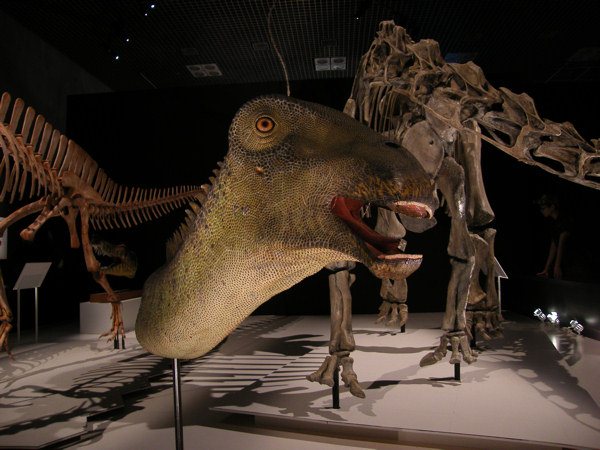 ニジェールサウルス - 恐竜・翼竜大図鑑（裏辺研究所）