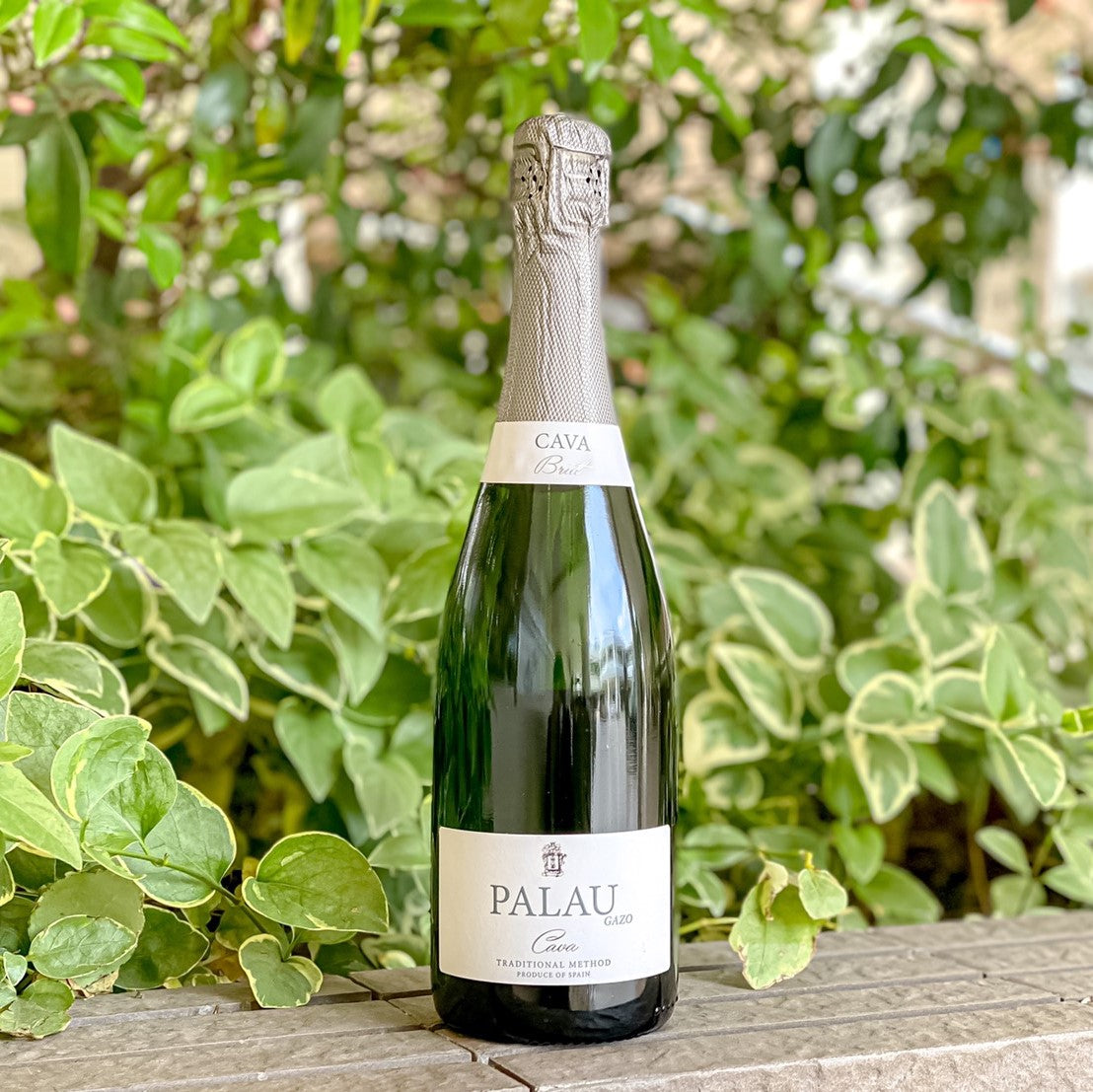 ガイアフロー シングルモルト ウイスキー 静岡 ポットスティルW 純