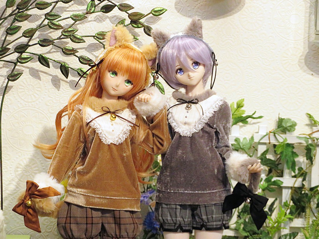 ◇DD キャンディ＆未来 スタンダード Memorial Edition DDスタンダード