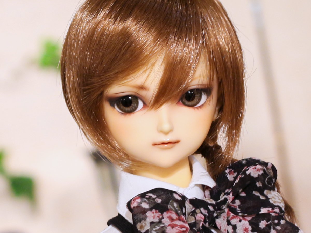 フルチョイスヘッド 5種追加のご案内 | 天使のすみか・横浜店 店舗