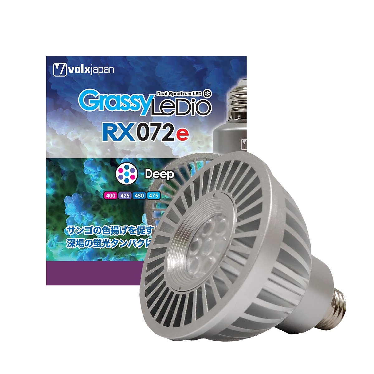 GrassyLeDio RX072e Deep - ボルクスジャパン ダイレクト