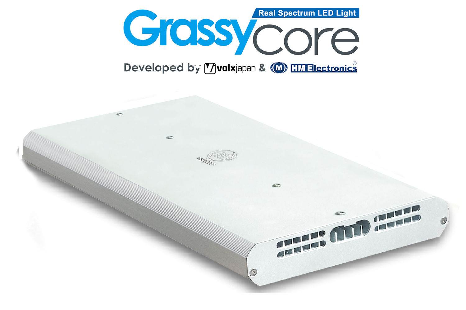 GrassyCore Reef / リーフ - ボルクスジャパン ダイレクト GrassyCore